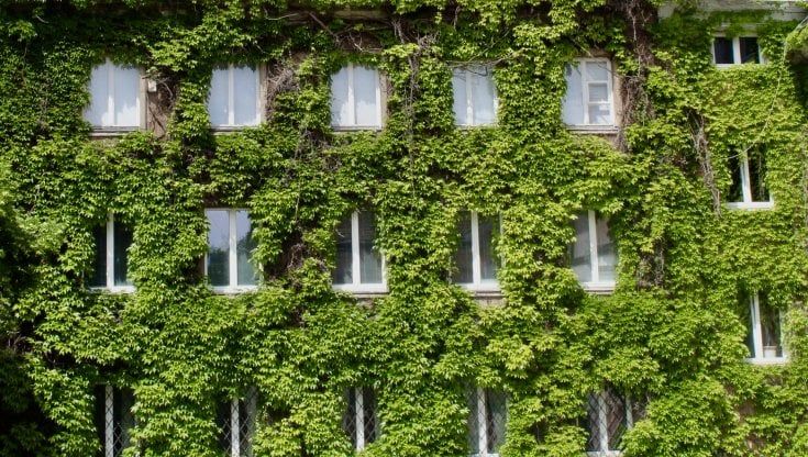 Real estate, il futuro è sostenibile: gli investitori puntano sul green