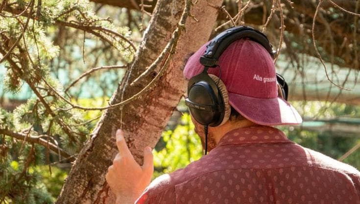 Botanical Soundscape, il “suono” delle piante diventa musica
