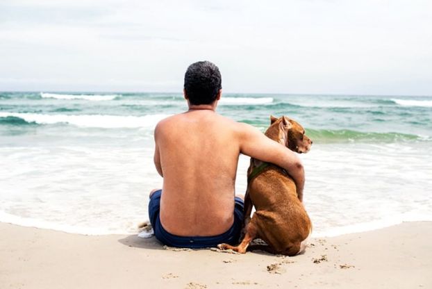 L'ultimo viaggio di Diuki: un bagno nell'oceano per il cane malato