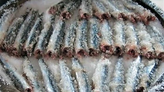 Ode alle alici e alla loro colatura, l'oro liquido di Cetara