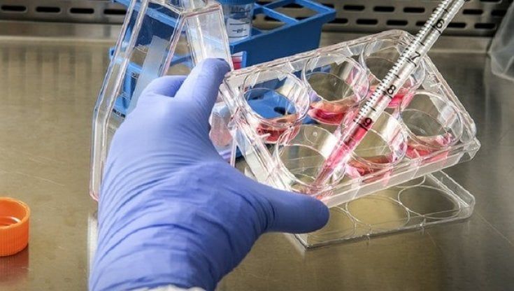 Covid, a novembre le varianti raddoppiano: ecco come colpiranno Cerberus e Gryphon
