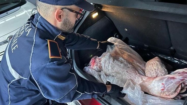 Shock al mercato Esquilino: carne macellai custodita nei portabagagli delle auto (non refrigerati)