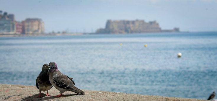 Napoli, la primavera nella città deserta per il Covid-19