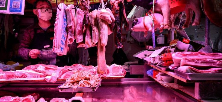 Dove arriva l'uomo, meno biodiversità e più pandemie
