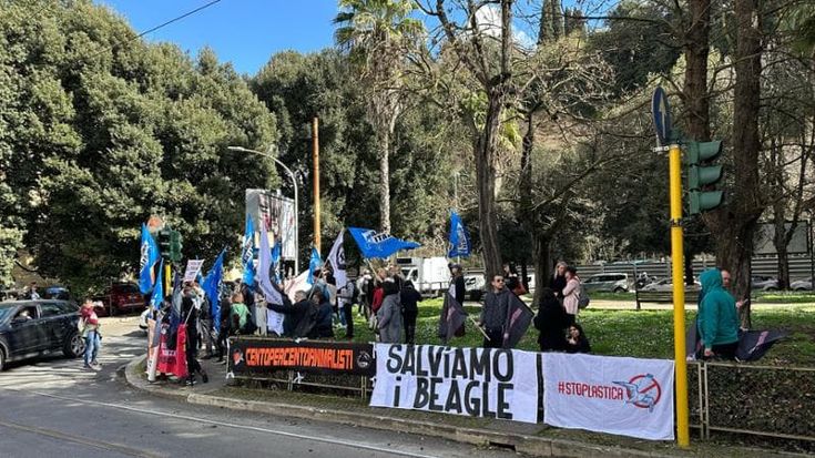 Vivisezione, Tar del Lazio: il 10 giugno la sentenza sui beagle destinati alla sperimentazione
