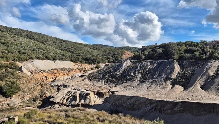La piantina che frena la contaminazione delle miniere