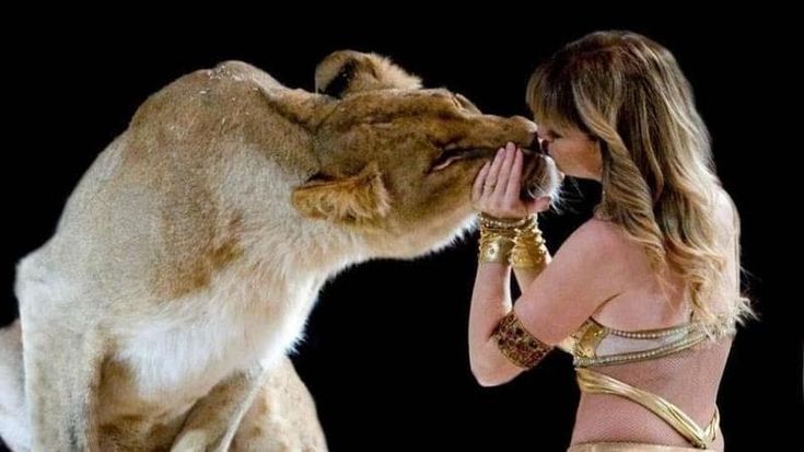 A Casalecchio il circo Orfei con tigri, leoni e coccodrilli. E gli animalisti protestano
