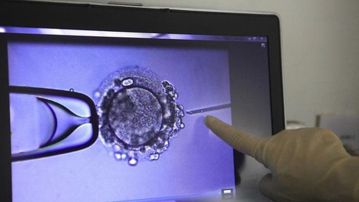 Embrioni scambiati, due biologhe sotto shock. Stretta sui protocolli dopo lo stop del ministero