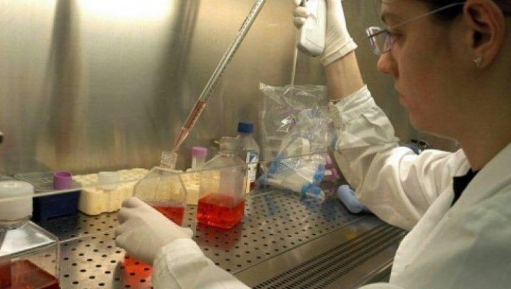 La paura del Covid frena la fecondazione assistita: “4.700 nascite in meno”