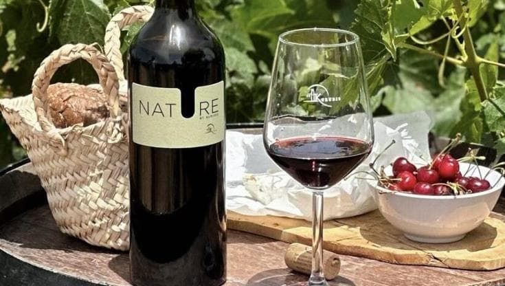 Che sorpresa trovare Vermentino e Cannonau sulle colline della Tunisia