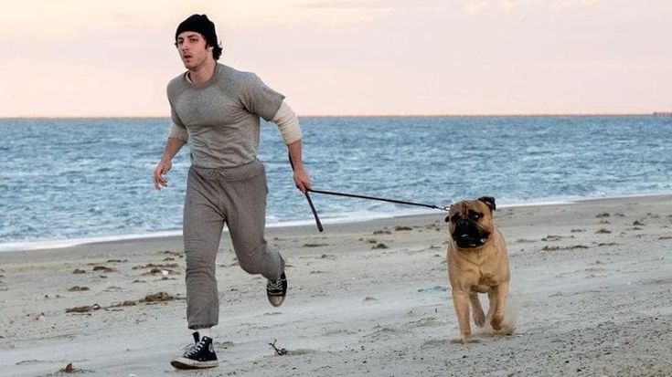 “Rocky sono io”, al Toronto Film Festival il biopic su Sylvester Stallone