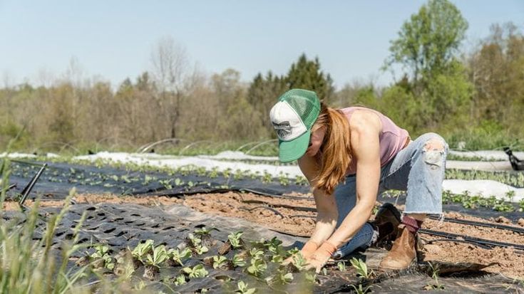 Possibile, il sostegno dei fondi europei a un’agricoltura più sostenibile e bio