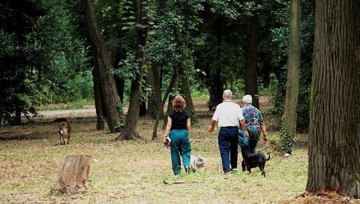 Firenze, contagi alti ma giardini e parchi restano aperti. Nardella: "Due giorni decisivi per restare arancione" 