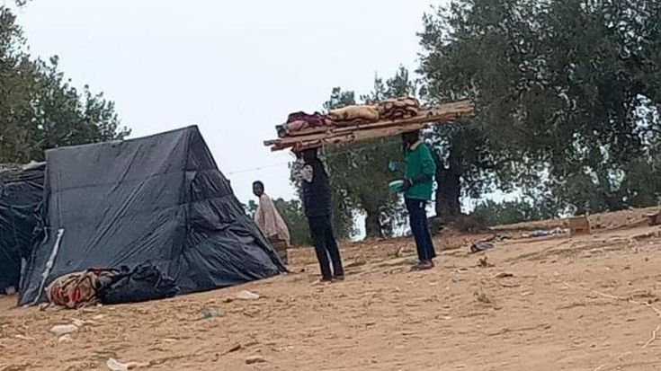 Amina fuggita da un matrimonio combinato in Gambia: “Vivo con il mio bimbo nascosta in un uliveto”