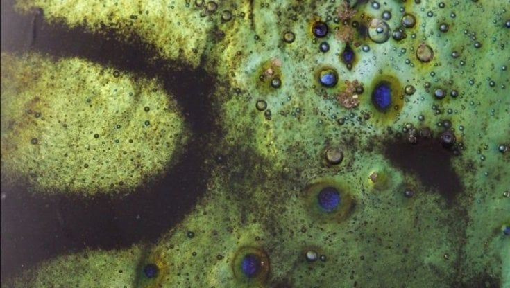 Al Masi di Lugano l’uomo dialoga con la natura attraverso la tecnologia