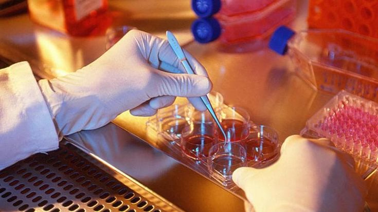 Al Sant’Orsola il passaporto genetico dei farmaci per sapere se saranno efficaci