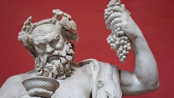 Noi e il vino: la storia di un mito diventato domestico