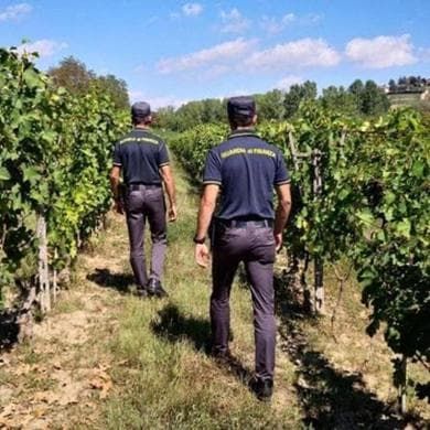 In aumento del 20% la piaga del lavoro nero: “Scoperti irregolari anche nelle grandi aziende”