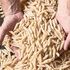 La pasta che da 100 anni si produce (con solo grano italiano) in un piccolo paese toscano