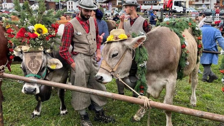 Tempo di Alpenfest con i suoni e i sapori della transumanza