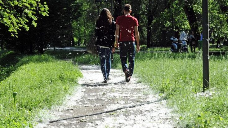 Primavera, il ritorno delle allergie. L’esperta: “Ecco quali terapie seguire”