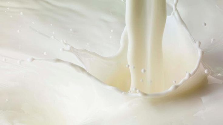 Moregrana, Grana Padano presenta i risultati del progetto