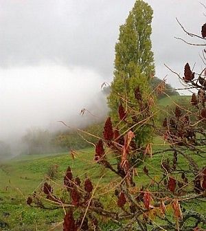 Campi incolti, stop allo spreco.<br />Decolla la Banca della terra