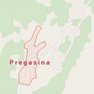 Impugna la pistola del padre, partono due colpi. Muore bambina di 11 anni