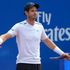 Tennis, classifiche: Murray e Serena saldi sul trono, stabile Fognini e avanza Vinci