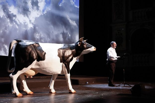 Repubblica delle Idee, Michele Serra incanta il pubblico. E sul palco c'è anche una mucca