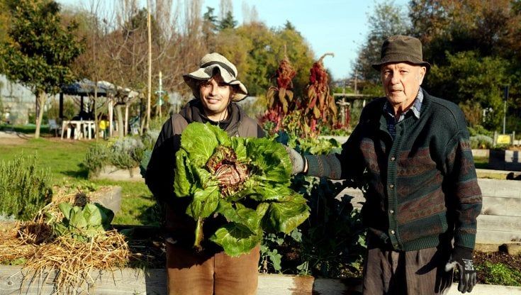 Nell'orto di Niguarda, dove cavoli, fave e zucche sono diventati frutti della solidarietà
