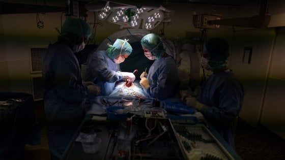 Sanità, sos medici: i dottori sono sempre meno e il Molise richiama i pensionati