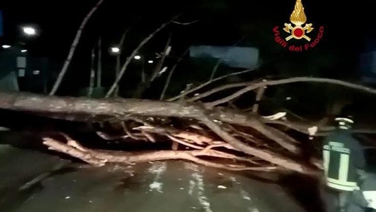 Maltempo, a Firenze alberi caduti e interventi dei pompieri. Nel Pisano auto bloccata nel sottopasso