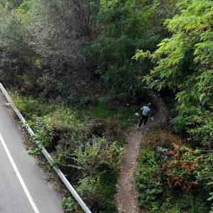 Milano, il supermarket dell'eroina: disperati in coda nel bosco per una dose a 10 euro