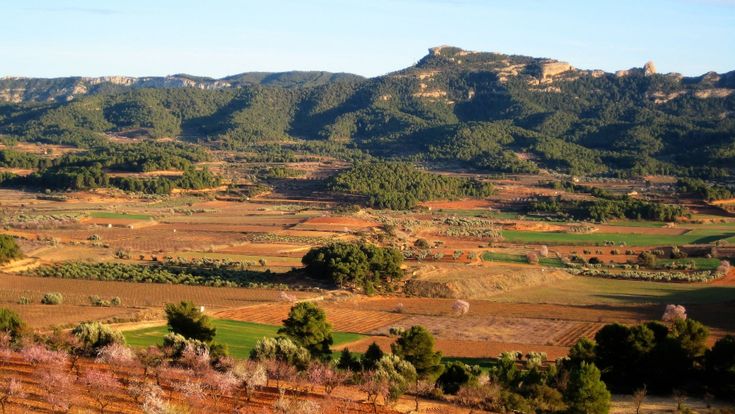 La Terra Alta che mi ha fatto rinascere