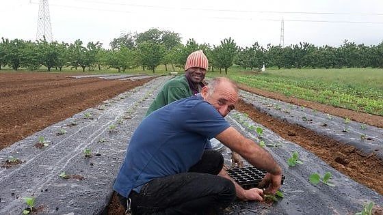 Sulle colline di Torino, la cooperativa solidale rende più buone le ciliegie (e non solo)