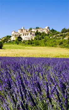 La <i>route</i> della lavanda
