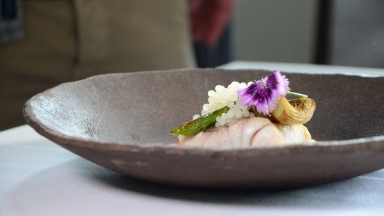 E con l'allevamento modello la lumaca siciliana fa concorrenza all'escargot