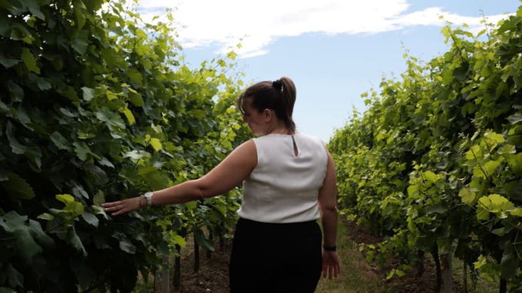 Il rilancio dell’agricoltura passa per i giovani