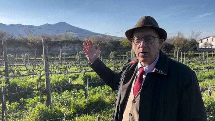 In vigna con Giuratrabocchetti: "Così il Vulture nutre la nostra terra"