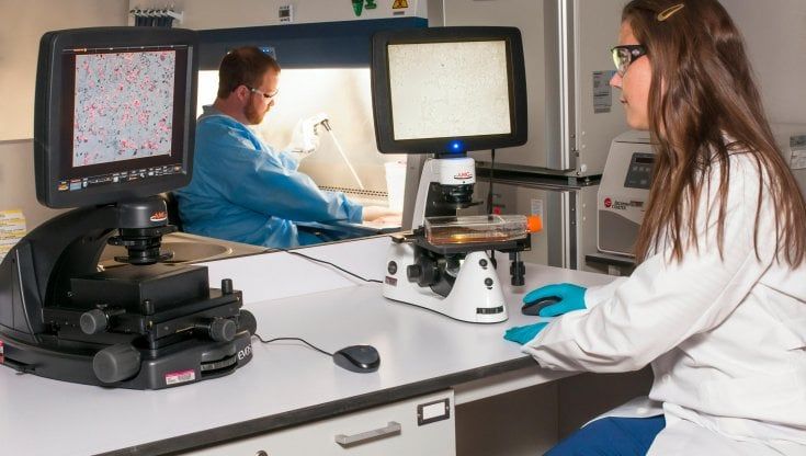 Tumore al seno: prima i farmaci o l’intervento?