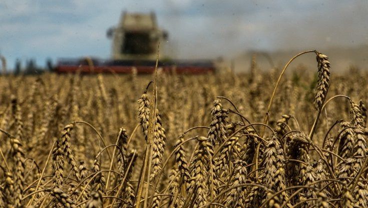 Le Borse di oggi, 31 ottobre. Mercati in attesa della Fed, vola il prezzo del grano dopo lo stop di Mosca all'accordo