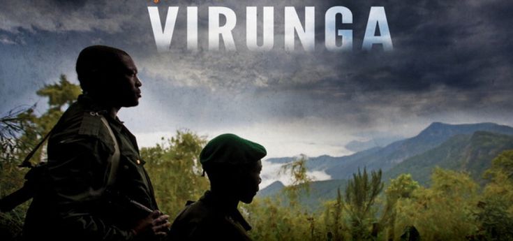 "Virunga", doc sul Parco in Congo minacciato dal petrolio, vince il Cinemambiente