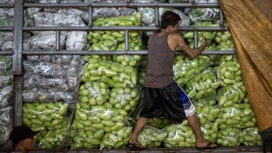 Guardian: in Usa si butta il 50% del cibo. "Colpa della cultura della perfezione"