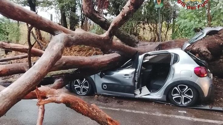 Maltempo, nubifragi e alberi caduti: disagi in tutta la città. Chiuse quattro fermate della metro A
