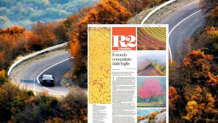 Il mondo conquistato dalle foglie