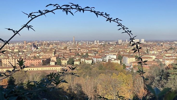Qualità della vita. Bologna di nuovo prima. Grazie anche ai suoi laureati