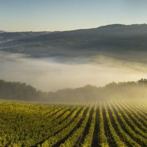 Vittorio Sgarbi: “Il  Brunello è come Raffaello”