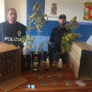 Ostia, arrestati tre rapinatori e trovata una serra di marijuana