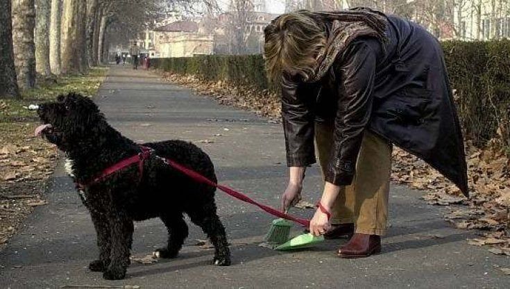 Bari, marciapiedi pieni di escrementi di cane ma le multe sono poche: 4 in un mese. "Numeri impietosi"